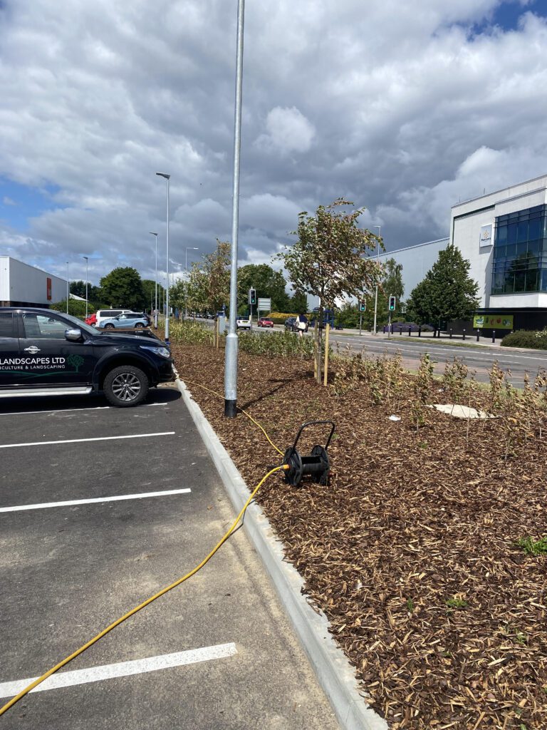 SEH Landscapes Ltd - Commercial planting & groundworks specialists providing expert landscaping services in East Sussex & Kent for business and public spaces.