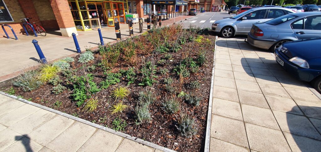 SEH Landscapes Ltd commercial planting and groundworks project in East Sussex and Kent. Expert landscaping services for businesses and public spaces.