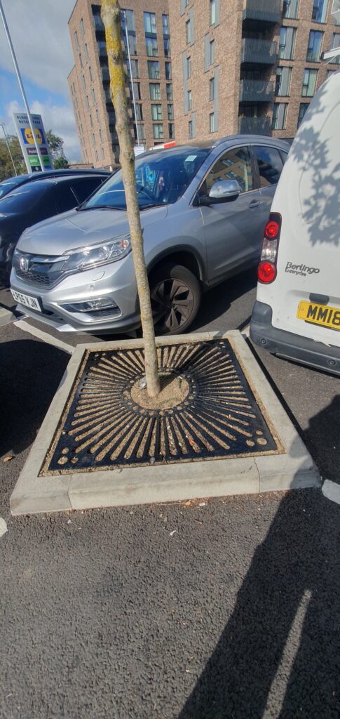 SEH Landscapes Ltd specializes in commercial tree installation in East Sussex & Kent, providing professional urban planting solutions with tree grilles.